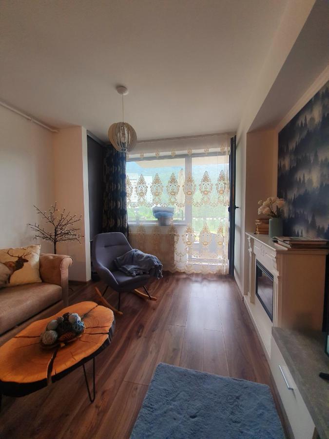 Vintage Home Sinaia Kültér fotó